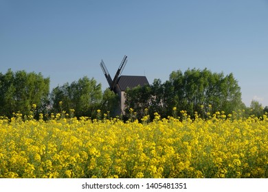 Traditional wooden windmill and 
rapeseed field - Poland, Zulawy, Mokry Dwor - Shutterstock ID 1405481351