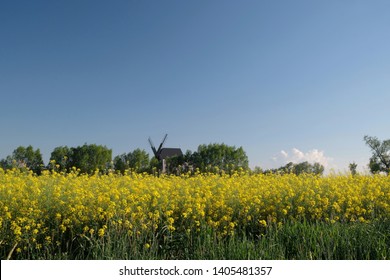 Traditional wooden windmill and 
rapeseed field - Poland, Zulawy, Mokry Dwor - Shutterstock ID 1405481357