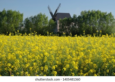 Traditional wooden windmill and 
rapeseed field - Poland, Zulawy, Mokry Dwor - Shutterstock ID 1405481360