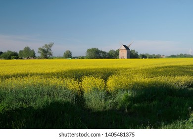 Traditional wooden windmill and 
rapeseed field - Poland, Zulawy, Mokry Dwor - Shutterstock ID 1405481375