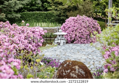 traditional zen garden stone lantern in Japanese park. lantern and blooming azalea in asia.blooming plants, spring time