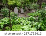 Trafalgar Cemetery in the British Overseas Territory of Gibraltar. also known as the Southport Ditch Cemetery, with Trafalgar sea battleof 1805 memorial