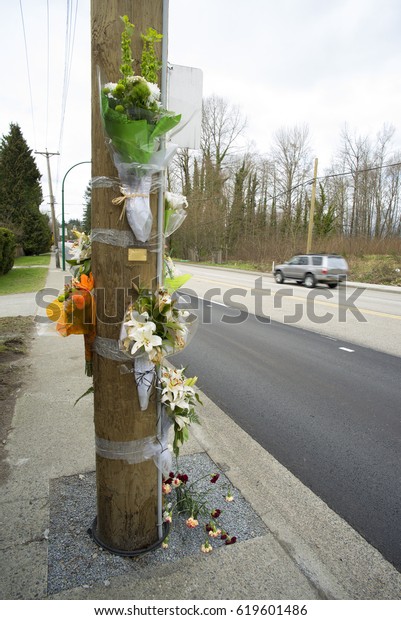 Traffic\
accident place, electrical pylons and\
flowers