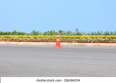 Traffic Cone On Road With Flower And Seascape Background