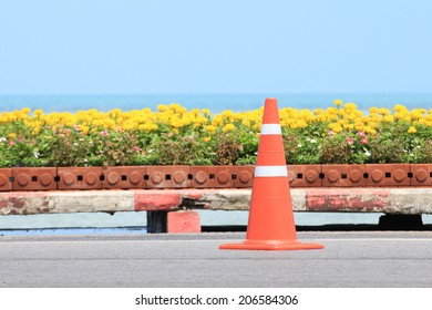 Traffic Cone On Road With Flower And Seascape Background