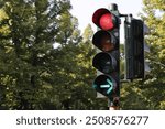 Traffic light with red light and green arrow for free right turn. Traffic light on a tree-lined avenue.