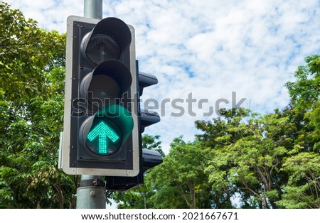 Traffic light showing green go straight arrow with sky and tree background