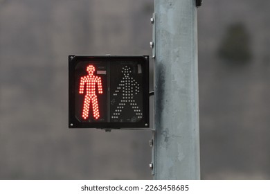 Traffic light and street crossing signs in Red and Amber and wallk and dont walk. 