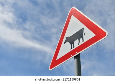 Traffic sign cattle farm, Germany