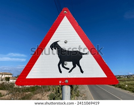 Traffic sign for driving cars on local cyprian road to be careful: attention and caution of goat (animal) crossing in scenic landscape at beautiful rural street village in Cyprus, Europe.