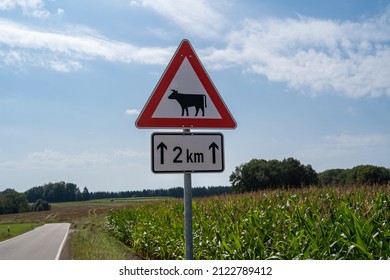 Traffic sign in a rural road with the meaning: Attention cattle can cross the road in the next 2 km