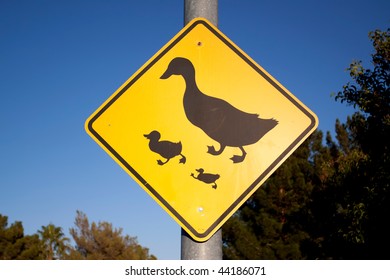 Traffic Sign Showing Duck Crossing Stock Photo 44186071 | Shutterstock