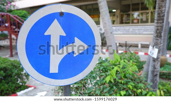 traffic sign\
for straight and turn right in\
garden