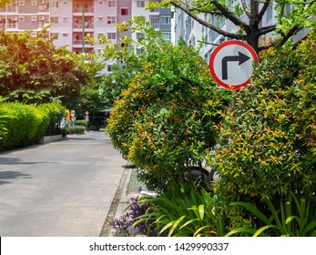 Traffic Sign, Turn Right Street Sign Hiding In The Green Bush Near Concrete Street And The Parking In Condominium.