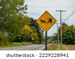Traffic Sign warning of Amish horse-drawn Carriages (Buggy) on the Road