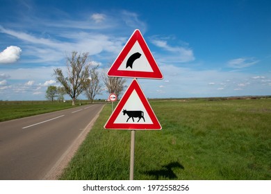 Traffic signs by the road. Cattle crossing red and white triangle sign with cow silhouette. Right curve ahead traffic sign and no-overtaking road sign in a back.