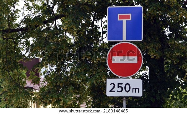 Traffic signs: Do not enter and this road is\
a dead end, round and rectangular plate in blue, red and white,\
tree branches with in the\
background.