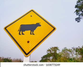 Traffic signs that show to be careful of animals crossing the road