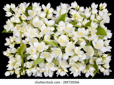 Tragic Square Funeral Buttonhole From White  Jasmine Flowers. Isolated On Black