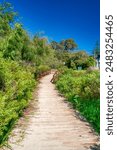 Trail along the beach of  Busselton on a sunny morning, Western Australia.