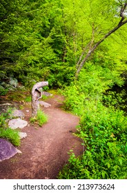 Trail Along The Lehigh River In Lehigh Gorge State Park, Pennsylvania.