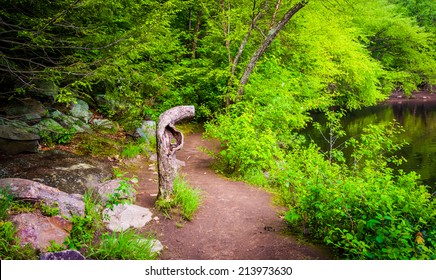 Trail Along The Lehigh River In Lehigh Gorge State Park, Pennsylvania.