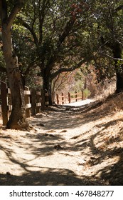 Trail In Alum Rock Park, San Jose, California