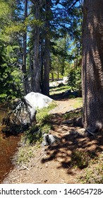 Trail In Ansel Adams Wilderness High Alpine Lake 