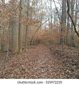 Trail In The Appalachian Foothills. 