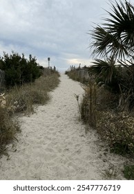 The trail to the beach