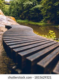 Trail Bench At Saratoga Spa State Park