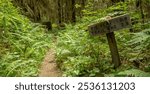 Trail to Big Flat and Trail End Sign in Olympic National Park