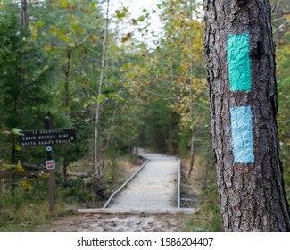 Trail Blaze At Prince William Forest State Park, VA