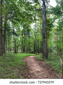 Trail Blazer - Walking Path