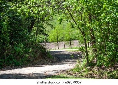 A Trail In Buffalo Bayou Park