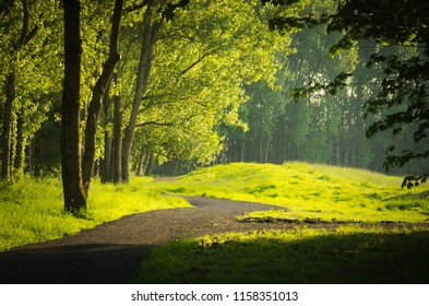 A Trail By The Shannon Estuary In Shannon Clare
