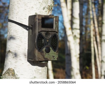 Trail Camera In The Woods. Camera With Night Vision And Motion Sensor. Animal Behavior Research