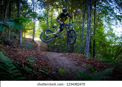 mountain bike whip