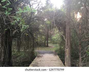 Trail In Claude Moore Park, Sterling, Virginia