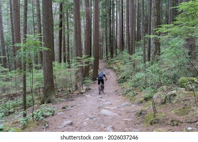 Trail In Cypress Provincial Park