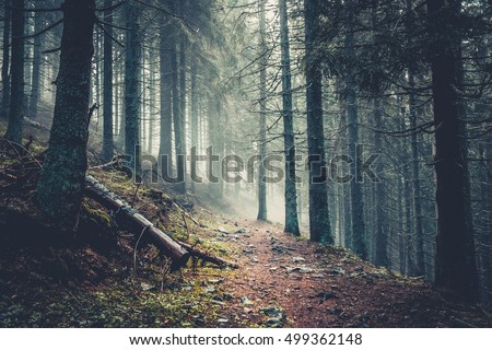 Similar – Image, Stock Photo Sloping road with plants along the way