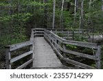Trail to Dianas Baths in Bartlett, New Hampshire USA