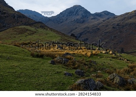 Trail Down from the Langdales to Dungeon Ghyll