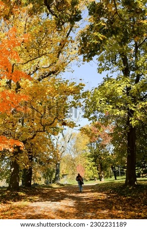 Trail of World’s End in fall color Hingham MA USA