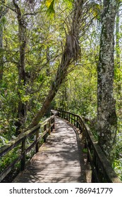 Trail In Everglades National Park, Florida, USA