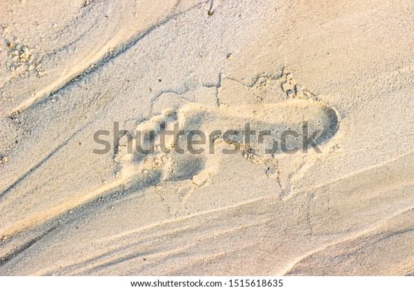 Trail footprint in the sand ground on
the nature outdoors. Texture, background,
sample