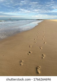 Trail Of Footprints In The Sand Sea Nature Background