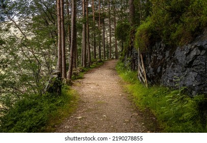 A Trail In The Forest. Forest Trail View. Trail In Mountain Forest. Forest Trail