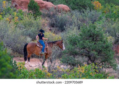 A Trail Guide On Horseback Leading A Group Of Tourists Checking On The Riders, In The Rear, Sandy Trial Bordered By Dense Shrubbery And Scrub Oak. The Guide Is Holding The Reins, Setting The Saddle.