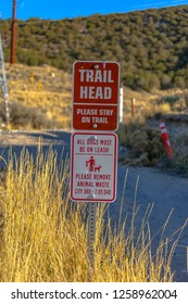 Trail Head Sign With Dog Warning In Front Of Grass